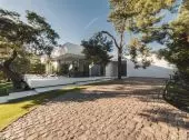 House under the forest