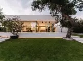 House under the forest