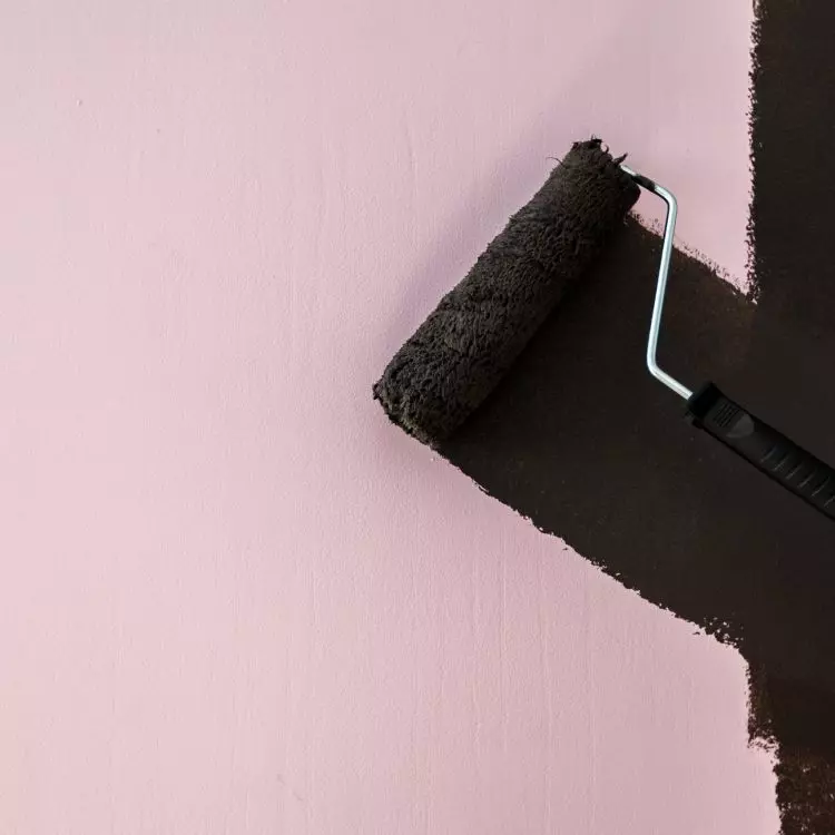 Painting the walls 