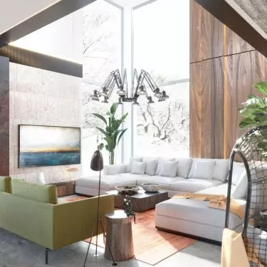 Living room with olive sofa