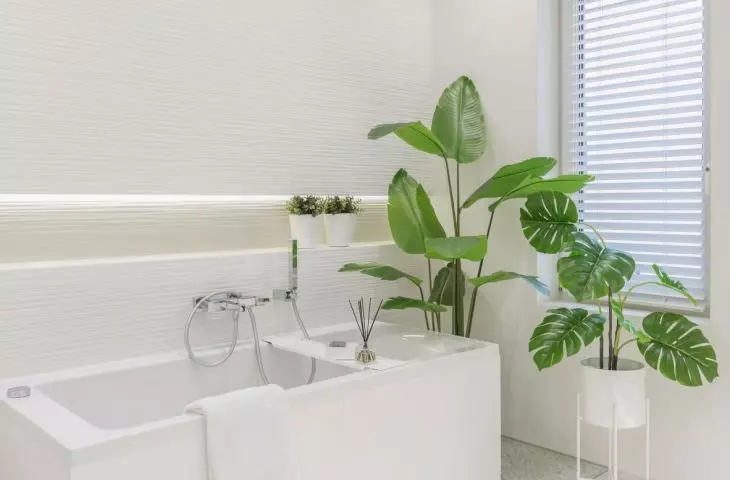 There are plants in the bathroom