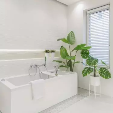 There are plants in the bathroom