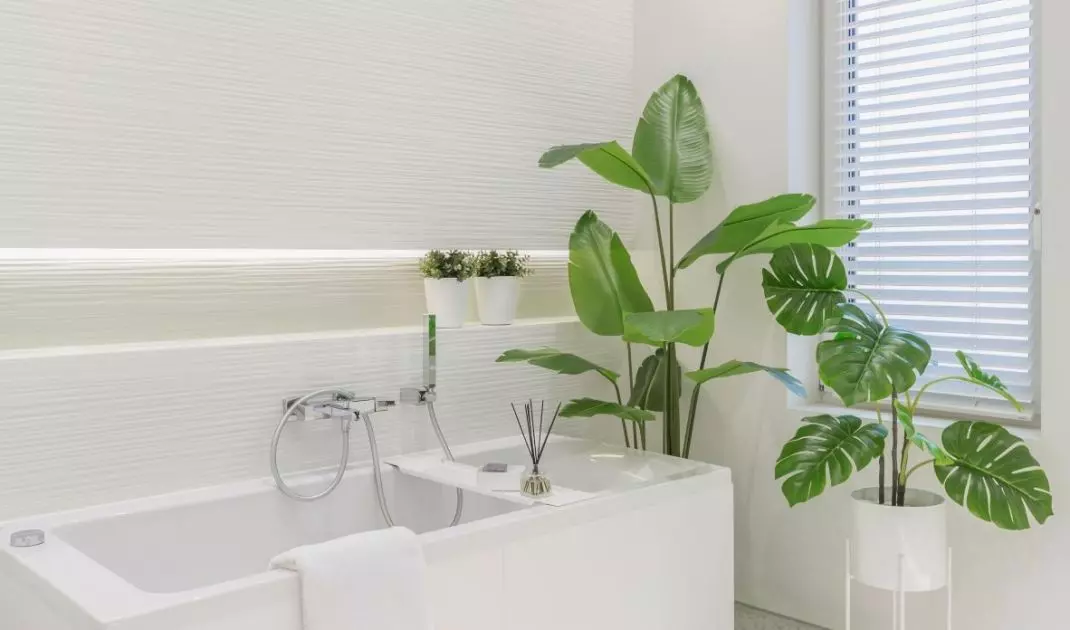 There are plants in the bathroom