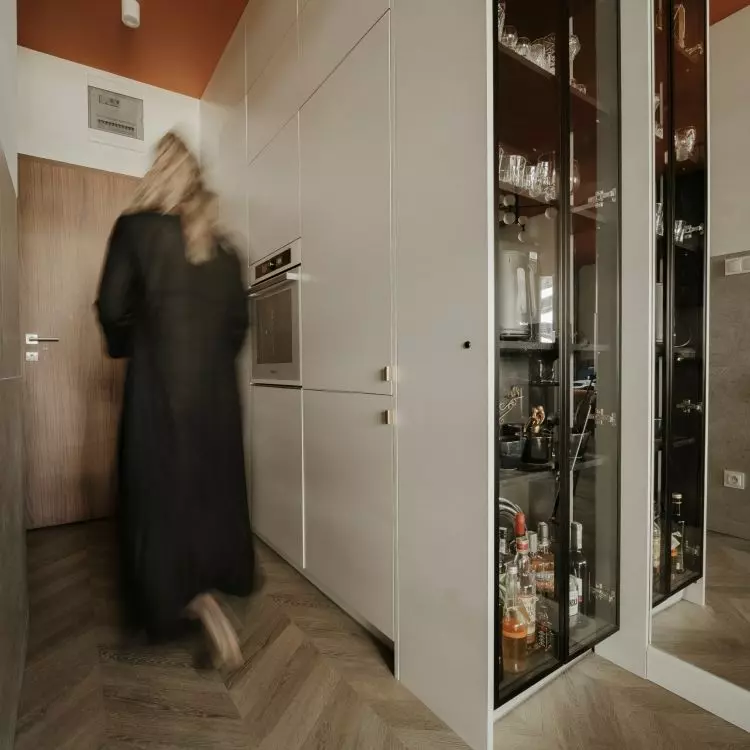 Illuminated showcase and built-ins with home appliances