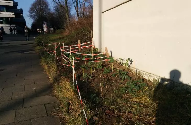 Urban guerrilla warfare may be small, confined to a small plot near a housing development
