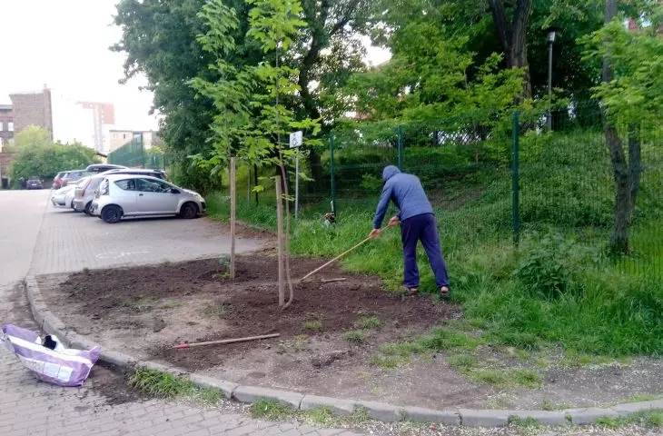 Czasem lepsze od słupkozy mogłoby być sadzenie drzew