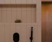 bathroom detail