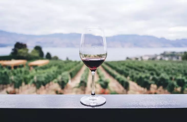italian wines