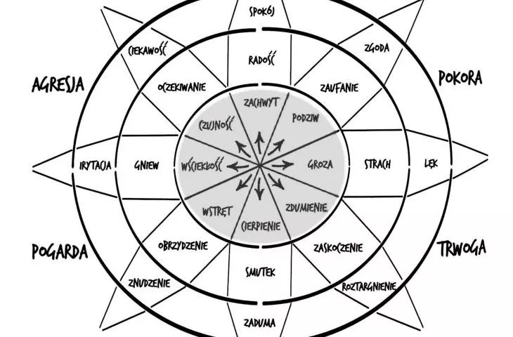 The project is based on the diagram of Plutchik's theory