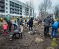Jedną z wymienianych inicjatyw przez Szymona Bujalskiego w książce jest las kieszonkowy nadzorowany przez Kaspra Jakubowskiego