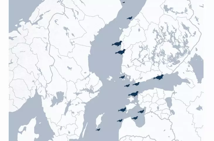 Populacja fok w Europie