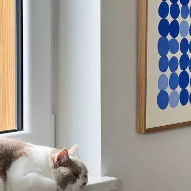 The apartment is also inhabited by a cat 