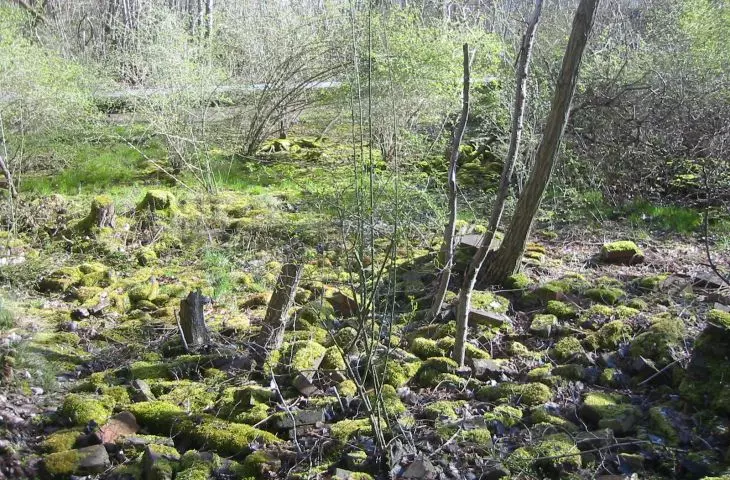 Schöneberger Südgelände 