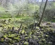 Schöneberger Südgelände 