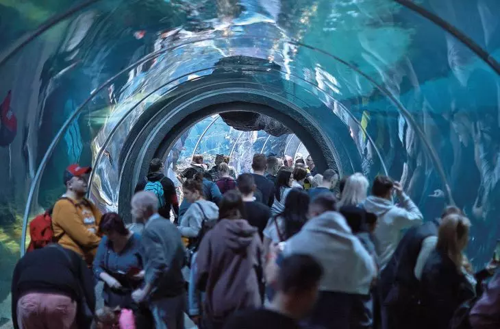  tak jak Wrocław odmieniło Afrykarium...