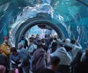  Just as Wroclaw has been transformed by the Afrykarium....