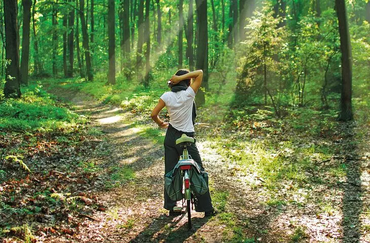 Lagiewnicki Forest is located within the city limits, despite having an area of more than 1,200 (!) hectares