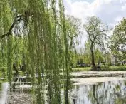 w Radomsku jest mnóstwo zadbanej zieleni; Miasto, gdzie może, tam inwestuje w przyrodę