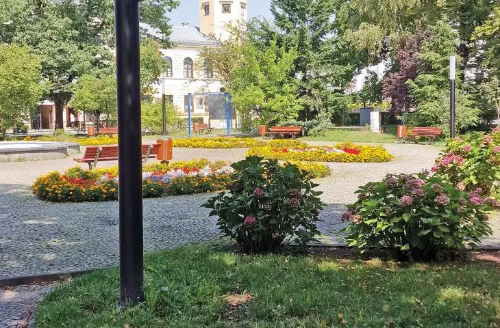 stary rynek w Radomsku w upalne dni tonie w zieleni i cieniu 