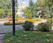 stary rynek w Radomsku w upalne dni tonie w zieleni i cieniu 