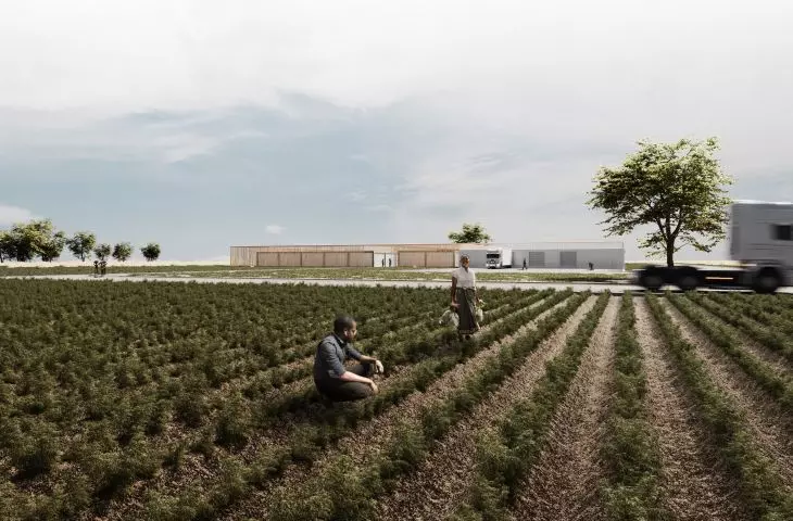 Ghana farm project, crops 