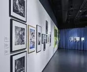 wystawa „Fotografika”