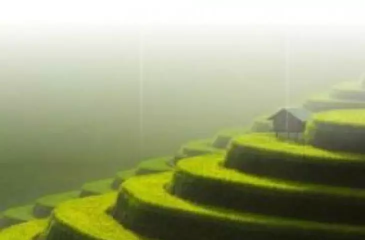 ZW Geo