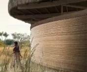 Reed is used for water filtration