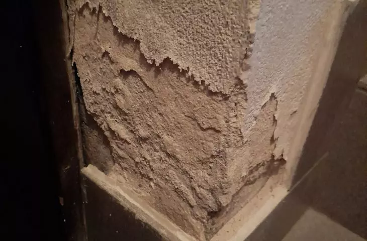 Plaster falling off