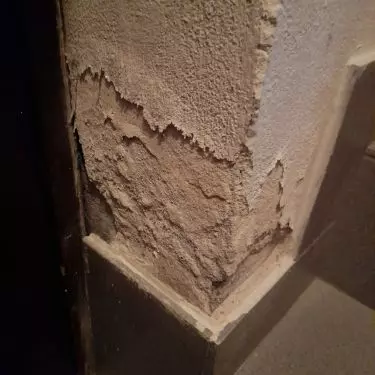 Plaster falling off