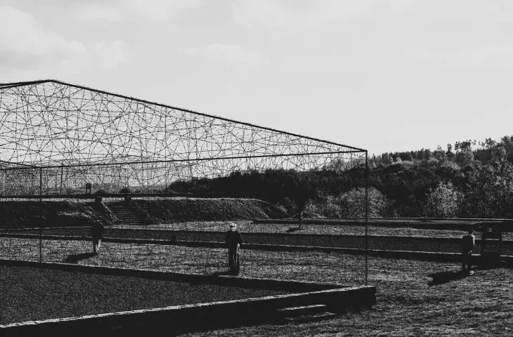Camp blocks, barbed wire sculptures