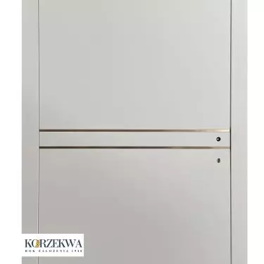Drzwi wewnętrzne DW 111