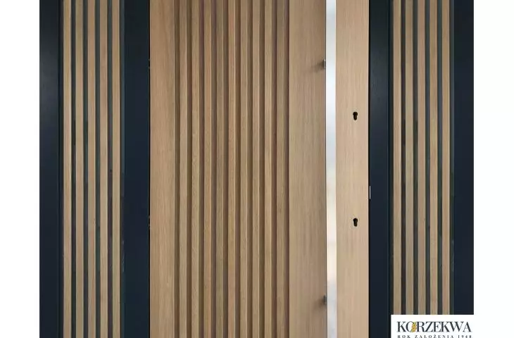 Exterior door DZ 268