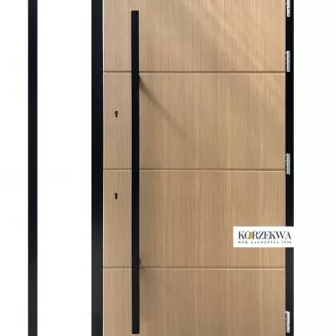 Exterior door DZ 276/1