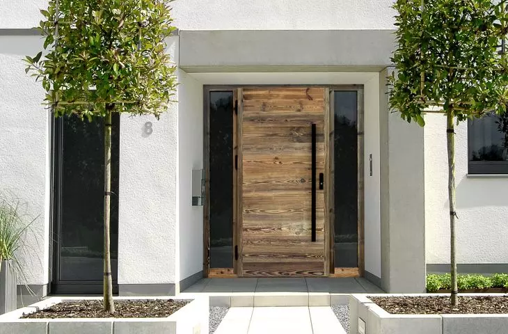 Exterior door old wood DZ89