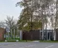 architekci otoczyli istniejący lasek brzozowy