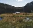 torfowisko przejściowe nad śródleśnym jeziorem