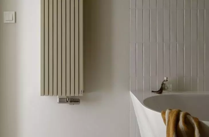 Designer bathtub and decorative radiator