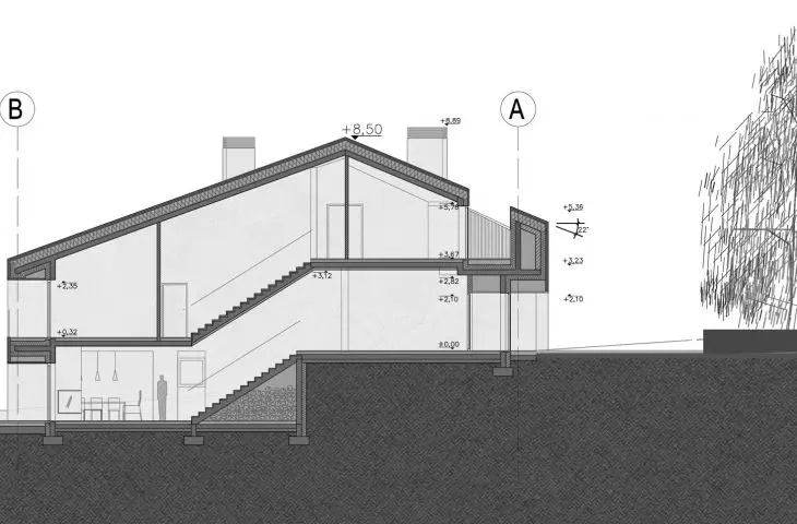 section