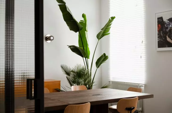 The interior is complemented by greenery