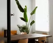 The interior is complemented by greenery