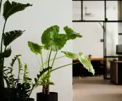 greenery in the interior creates a cozy, homey atmosphere