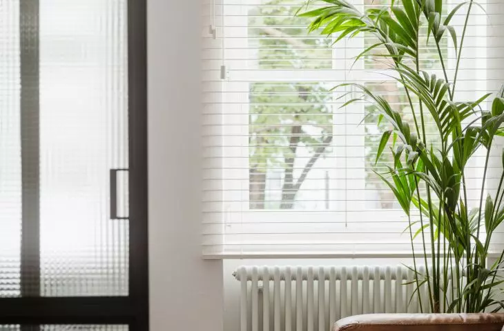 cozy office space