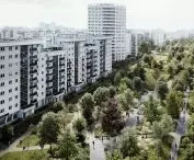 Wizualizacja parku