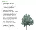 examples of trees and native plants