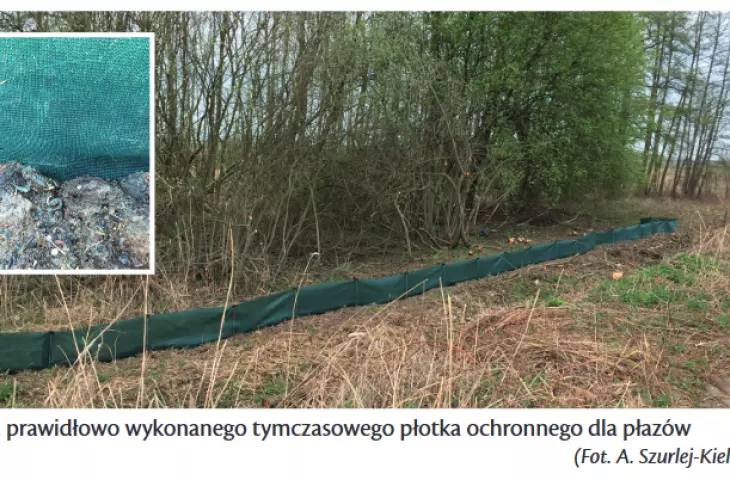 example of a protective fence for amphibians