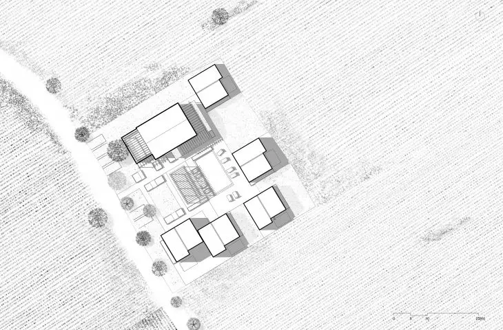 Projekt Wine Site, plan zagospodarowania terenu
