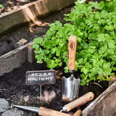 March is a good time to prepare your flowerbed