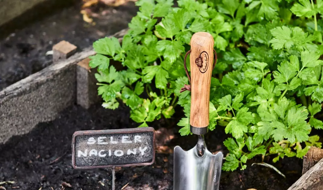 March is a good time to prepare your flowerbed