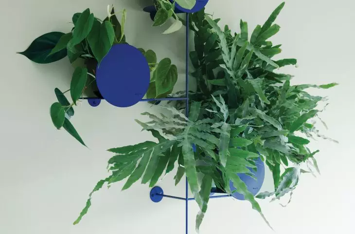 Kwietnik Floos  